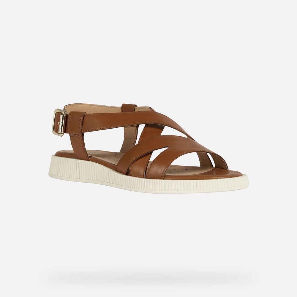 Sandalias Geox Senhora Marrom - Taormina - PSJCB3562